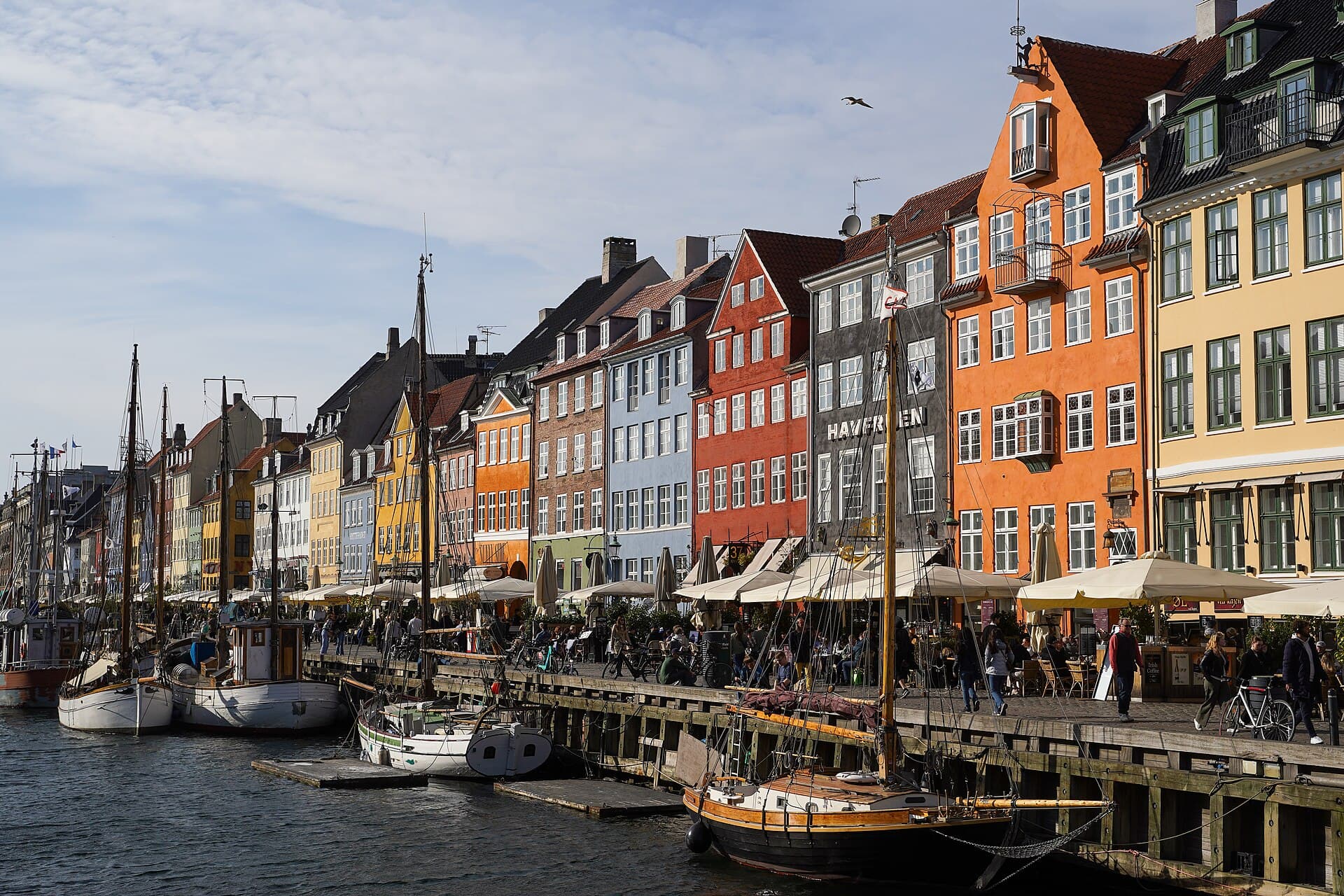 Study in Denmark